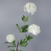 3 Heads Snowball Hydrangea Stem 90cmH